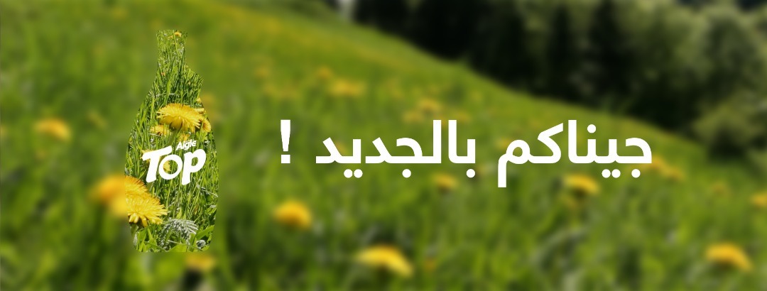 Company Banner
