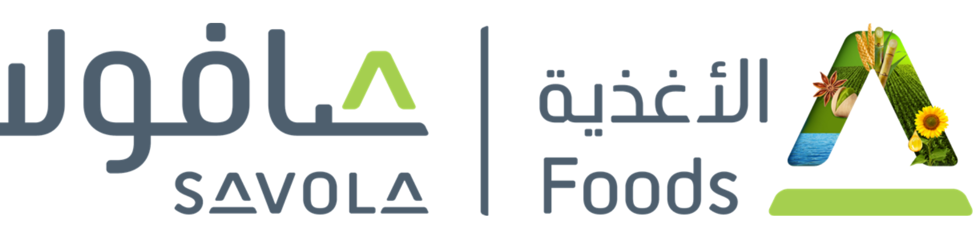 Company Banner