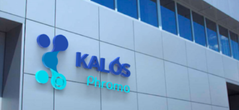 Company Banner
