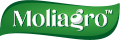 Company Banner