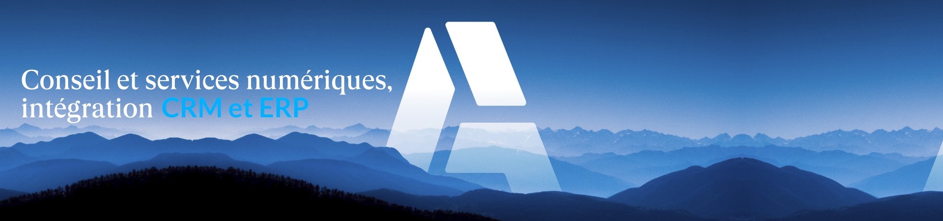 Company Banner