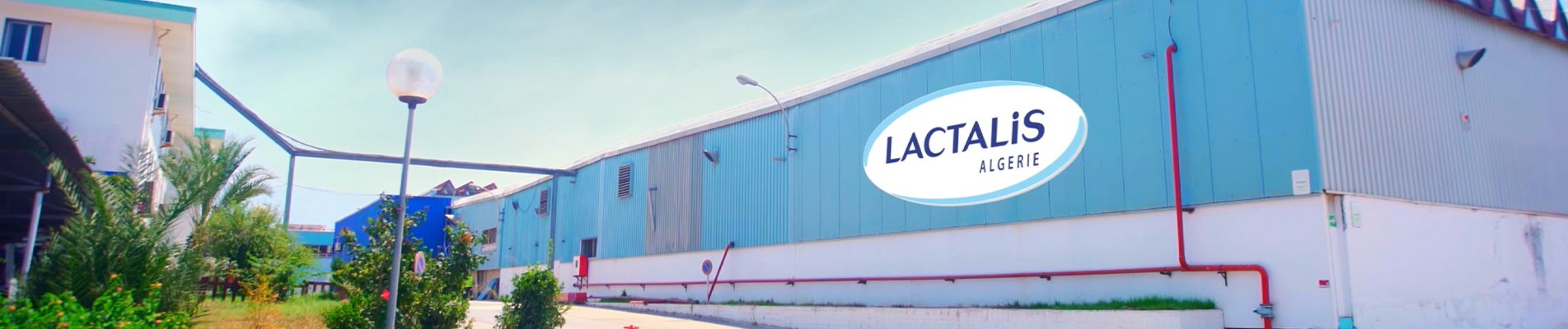 Company Banner