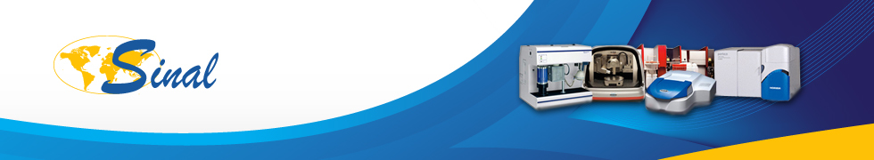 Company Banner
