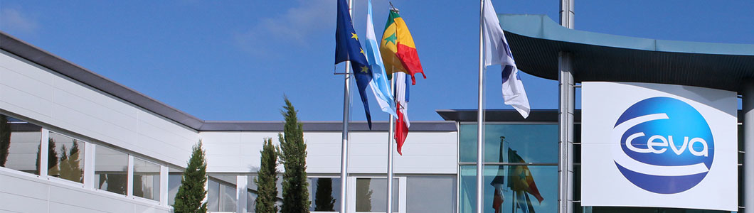 Company Banner